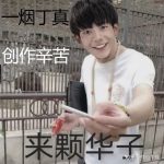 王源中路封烟的头像-VAM®克苏恩资源社区