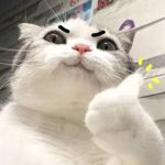 hj4736655的头像-VAM®克苏恩资源社区