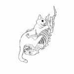 LingLingEntropy-VAM®克苏恩资源社区