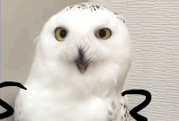 图片[3]-【镇站之宝】站长-清漪85%~99%【暂不发布】-VAM®克苏恩资源社区