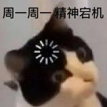 topzhu的头像-VAM®克苏恩资源社区