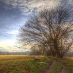 哐哐三下的头像-VAM®克苏恩资源社区